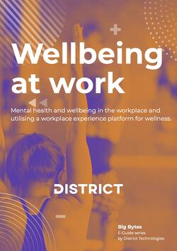 Wellbeing_E-Guide FP Wellbeing_E-Guide FP
